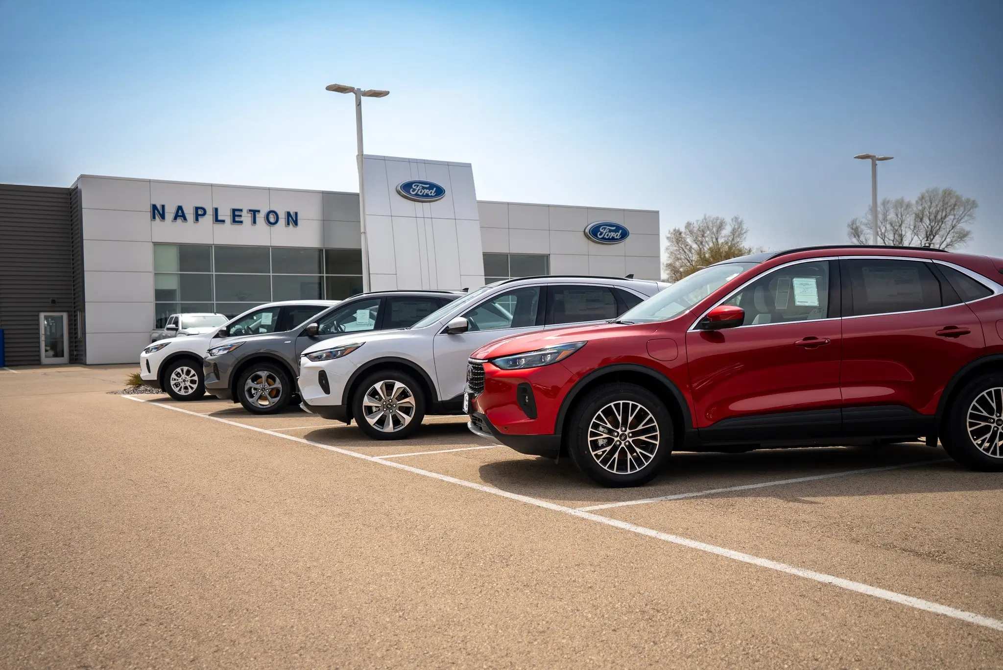 Pre-owned vehicles at Napleton Ford Columbus